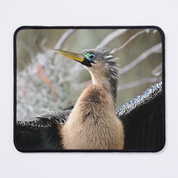 Item preview, Anhinga Eyes  designed and sold by Glennphotos.