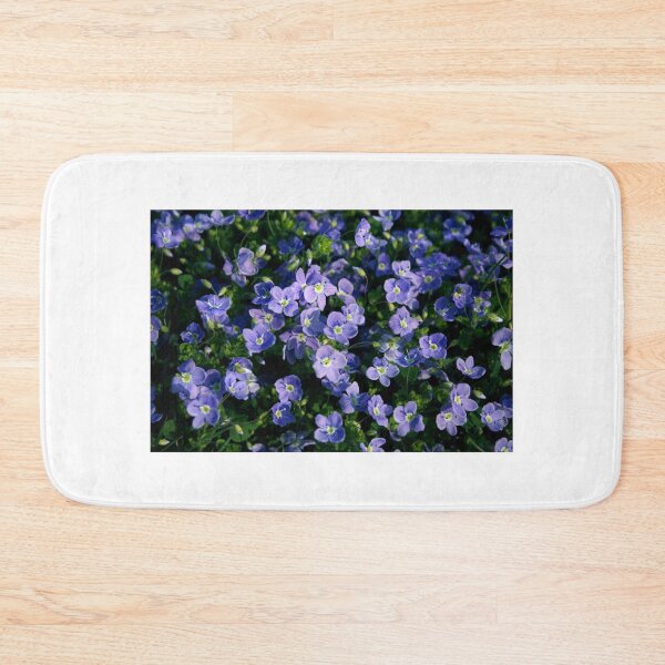 Item preview, Veronica officinalis, speedwell, storm flower designed and sold by SmoothBreeze7 | Liz Collet Photography.