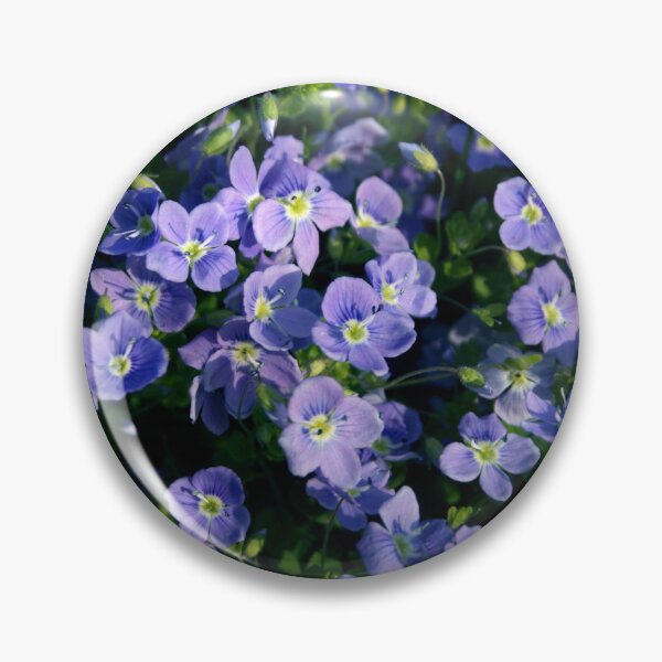Item preview, Veronica officinalis, speedwell, storm flower designed and sold by SmoothBreeze7 | Liz Collet Photography.