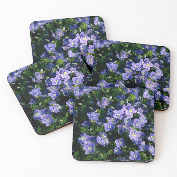 Item preview, Veronica officinalis, speedwell, storm flower designed and sold by SmoothBreeze7 | Liz Collet Photography.