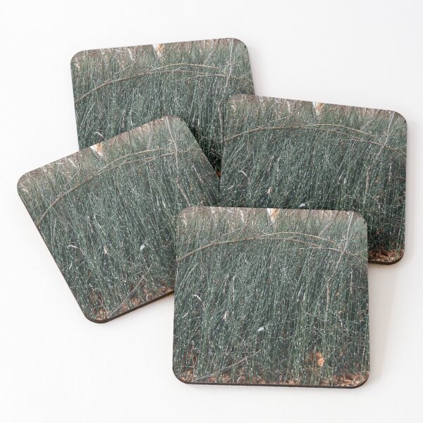 Item preview, Horsetail Reed Floodplain in Winter designed and sold by gistinker.