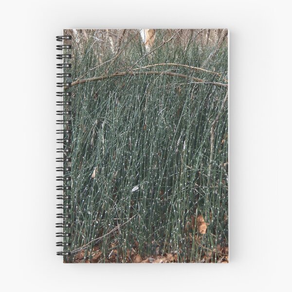 Item preview, Horsetail Reed Floodplain in Winter designed and sold by gistinker.