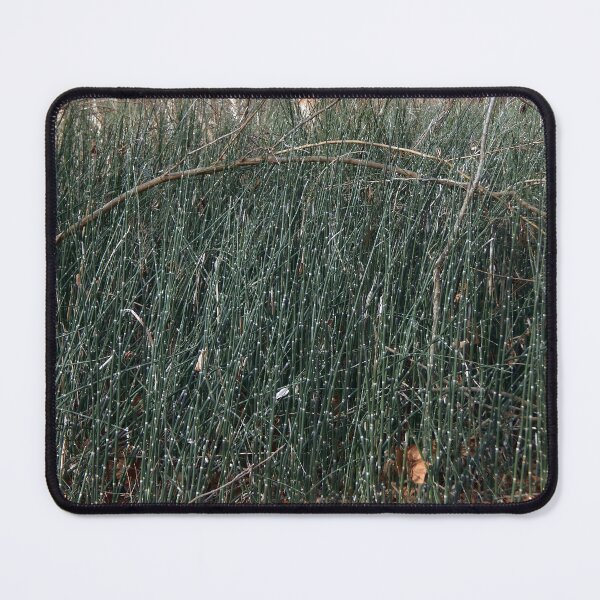 Item preview, Horsetail Reed Floodplain in Winter designed and sold by gistinker.