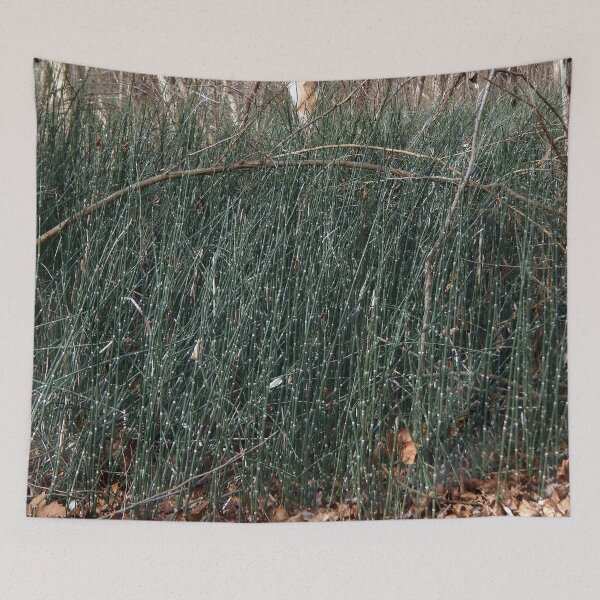 Item preview, Horsetail Reed Floodplain in Winter designed and sold by gistinker.