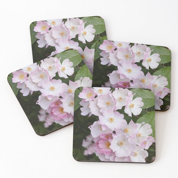 Item preview, Soft Pink Wild Rose Flowers in Natural Green Foliage designed and sold by SolaraNature.