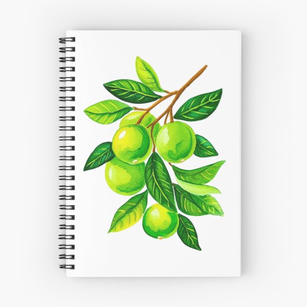 Item preview, Calamansi fruit designed and sold by JIGUWORLD.