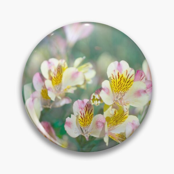 Item preview, Peruvian Lilies designed and sold by Alisonchambers2.