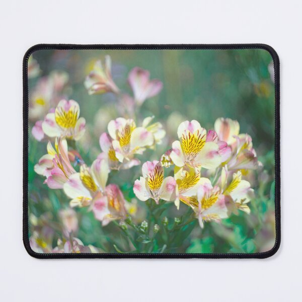 Item preview, Peruvian Lilies designed and sold by Alisonchambers2.