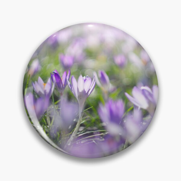 Item preview, Crocus flowers designed and sold by Alisonchambers2.