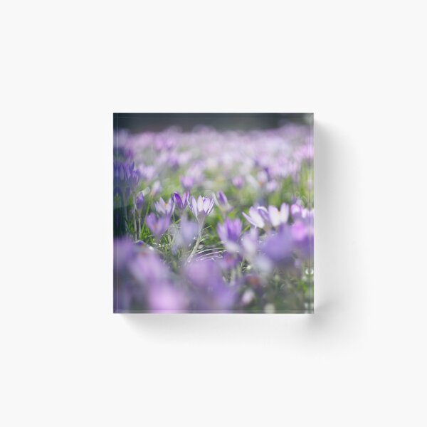 Item preview, Crocus flowers designed and sold by Alisonchambers2.