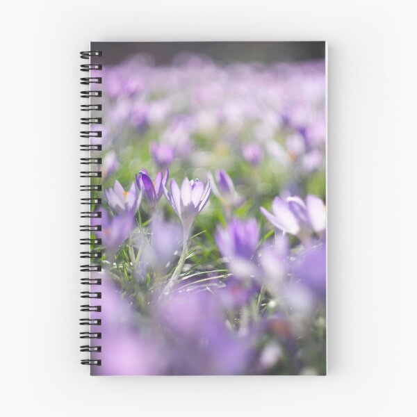 Item preview, Crocus flowers designed and sold by Alisonchambers2.