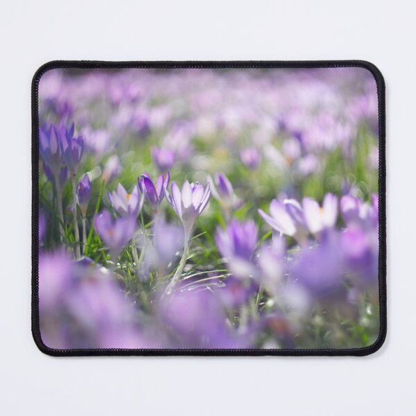 Item preview, Crocus flowers designed and sold by Alisonchambers2.