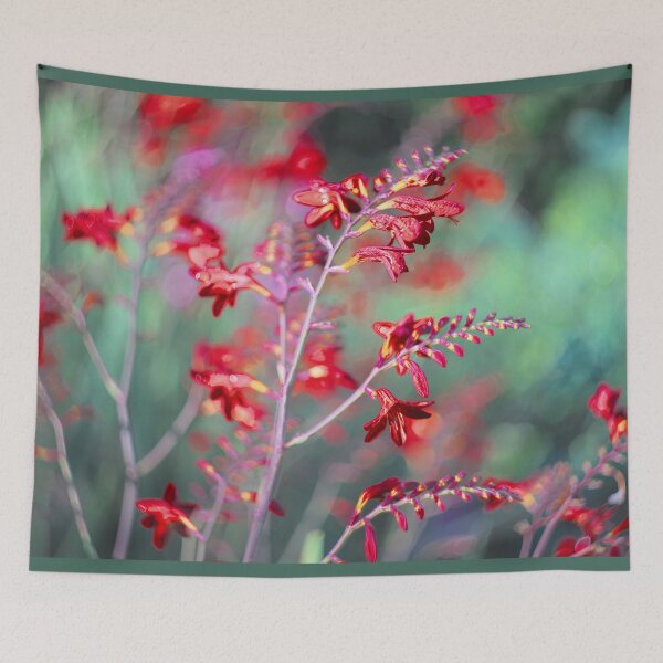 Item preview, Crocosmia Lucifer designed and sold by Alisonchambers2.