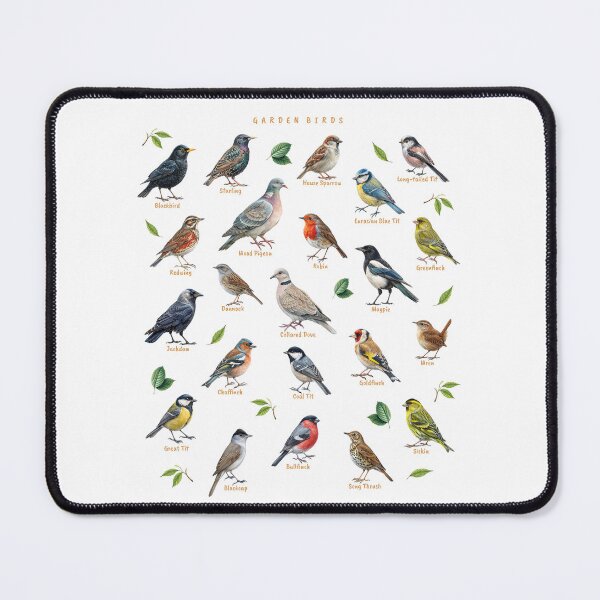 Item preview, UK Garden Birds, British garden birds designed and sold by iclipart.