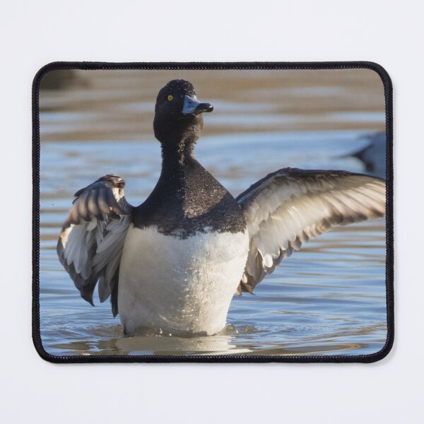 Item preview, Tufted Duck designed and sold by LaurenTucker.