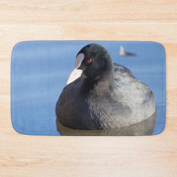 Item preview, Eurasian Coot designed and sold by LaurenTucker.