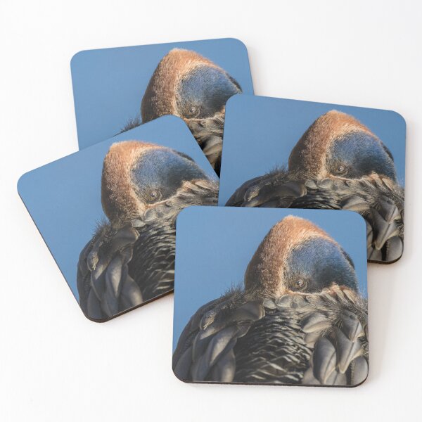 Item preview, Eurasian Teal designed and sold by LaurenTucker.