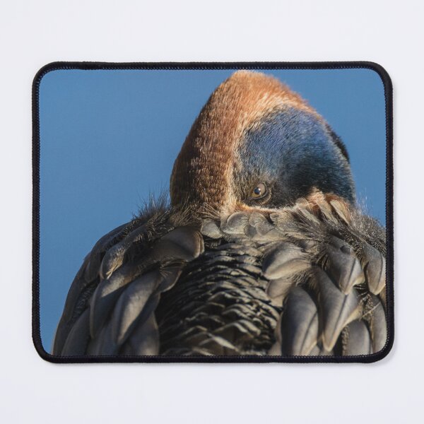 Item preview, Eurasian Teal designed and sold by LaurenTucker.