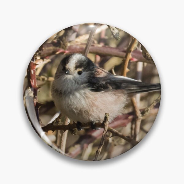 Item preview, Long Tailed Tit designed and sold by LaurenTucker.