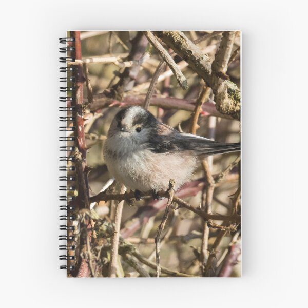Item preview, Long Tailed Tit designed and sold by LaurenTucker.