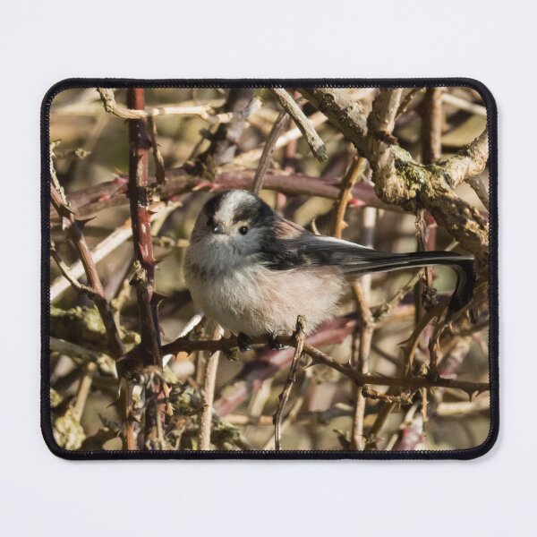 Item preview, Long Tailed Tit designed and sold by LaurenTucker.