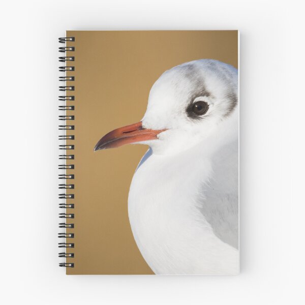 Item preview, Black Headed Gull designed and sold by LaurenTucker.
