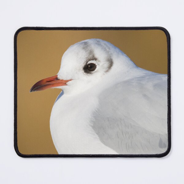 Item preview, Black Headed Gull designed and sold by LaurenTucker.