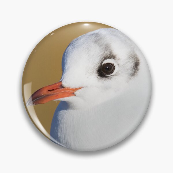 Item preview, Black Headed Gull designed and sold by LaurenTucker.
