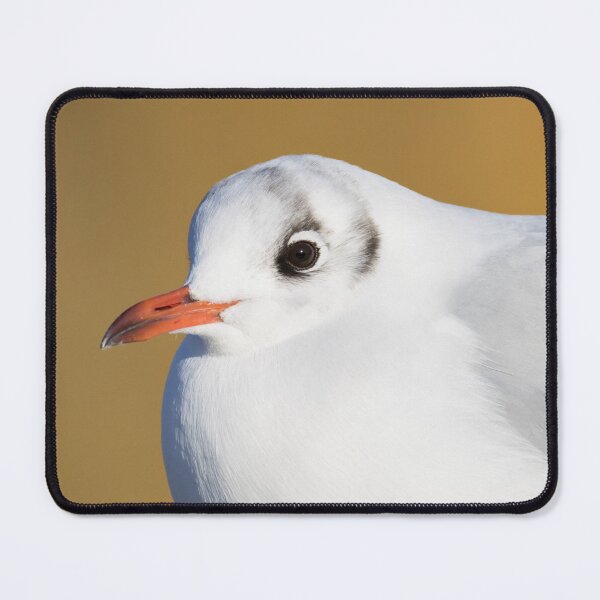 Item preview, Black Headed Gull designed and sold by LaurenTucker.