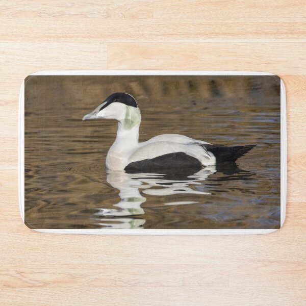 Item preview, Common Eider designed and sold by LaurenTucker.