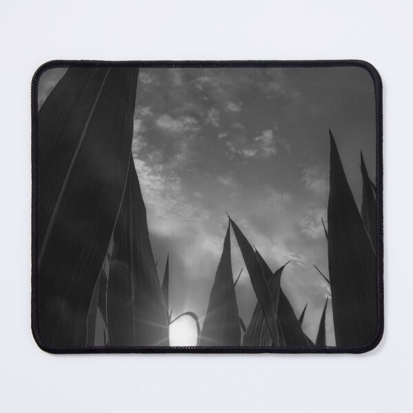 Item preview, The Rising BW designed and sold by Jim Love.