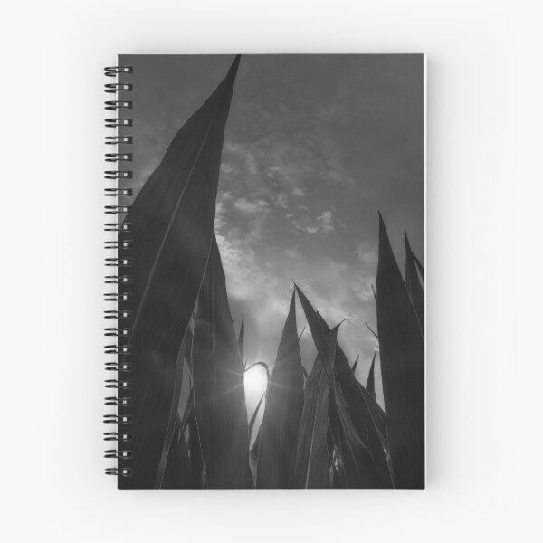 Item preview, The Rising BW designed and sold by Jim Love.