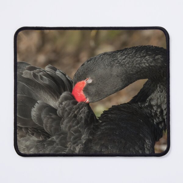 Item preview, Black Swan designed and sold by LaurenTucker.