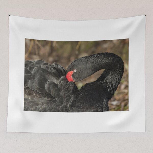 Item preview, Black Swan designed and sold by LaurenTucker.