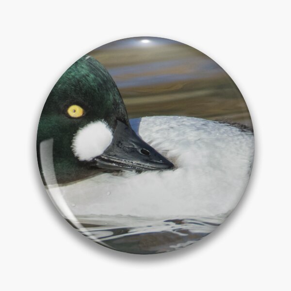 Item preview, Common Goldeneye designed and sold by LaurenTucker.