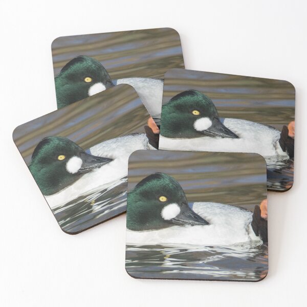 Item preview, Common Goldeneye designed and sold by LaurenTucker.