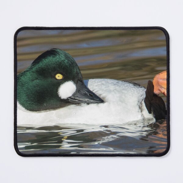 Item preview, Common Goldeneye designed and sold by LaurenTucker.
