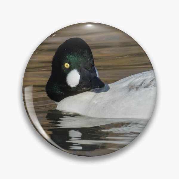 Item preview, Common Goldeneye designed and sold by LaurenTucker.