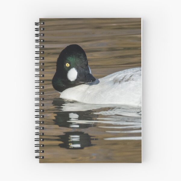 Item preview, Common Goldeneye designed and sold by LaurenTucker.