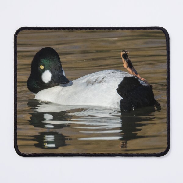 Item preview, Common Goldeneye designed and sold by LaurenTucker.