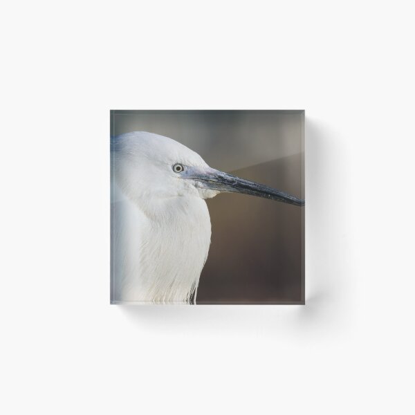 Item preview, Little Egret designed and sold by LaurenTucker.