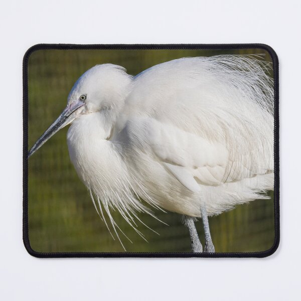 Item preview, Little Egret designed and sold by LaurenTucker.