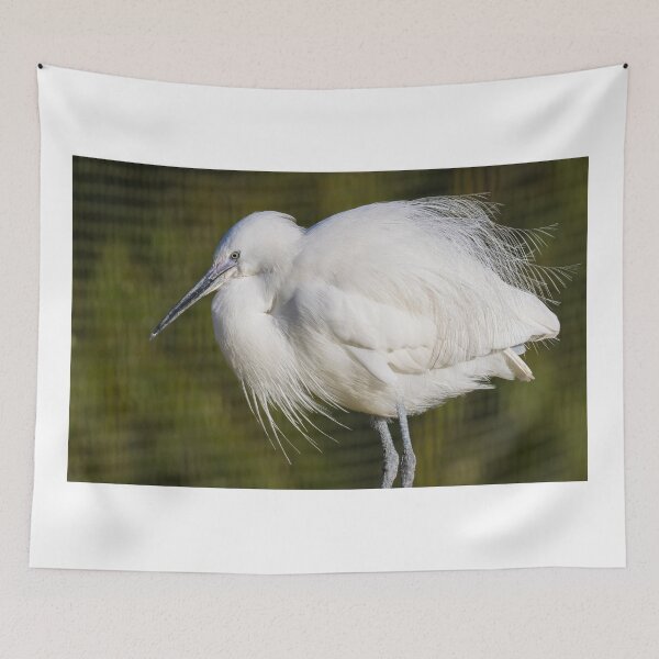 Item preview, Little Egret designed and sold by LaurenTucker.