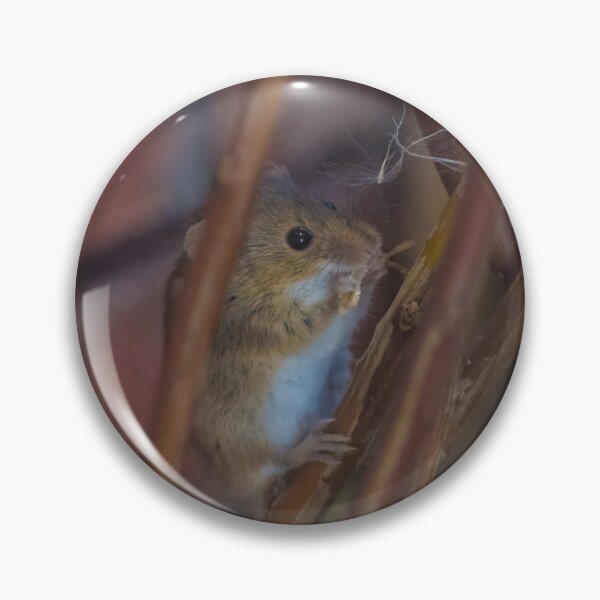 Item preview, Harvest Mouse designed and sold by LaurenTucker.