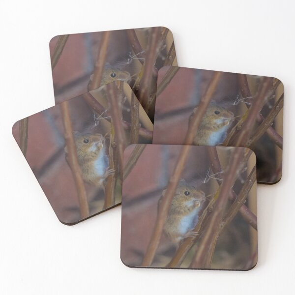 Item preview, Harvest Mouse designed and sold by LaurenTucker.