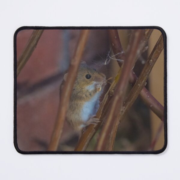 Item preview, Harvest Mouse designed and sold by LaurenTucker.