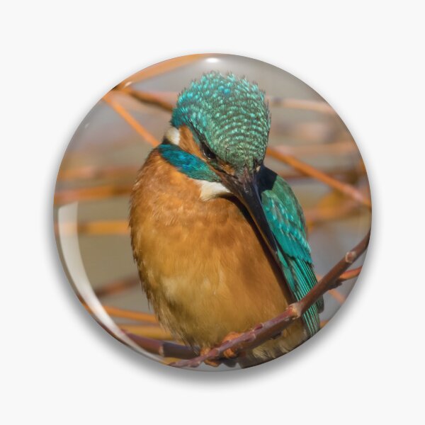 Item preview, Common Kingfisher designed and sold by LaurenTucker.