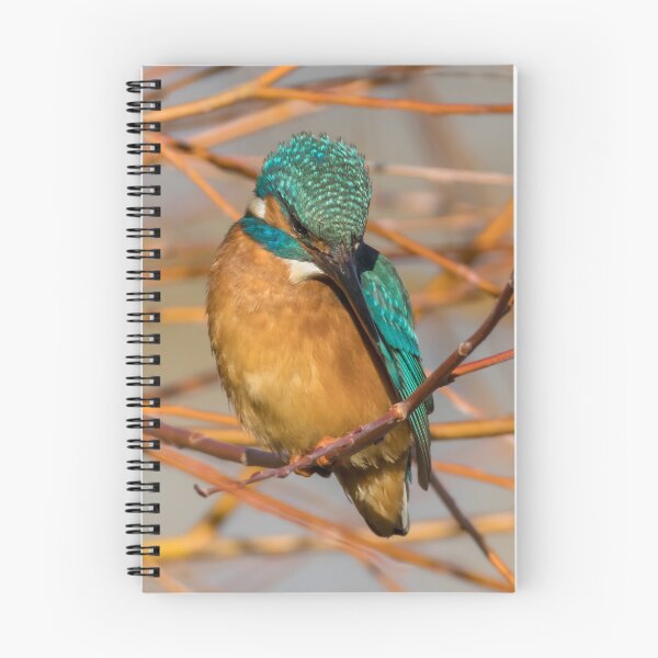 Item preview, Common Kingfisher designed and sold by LaurenTucker.