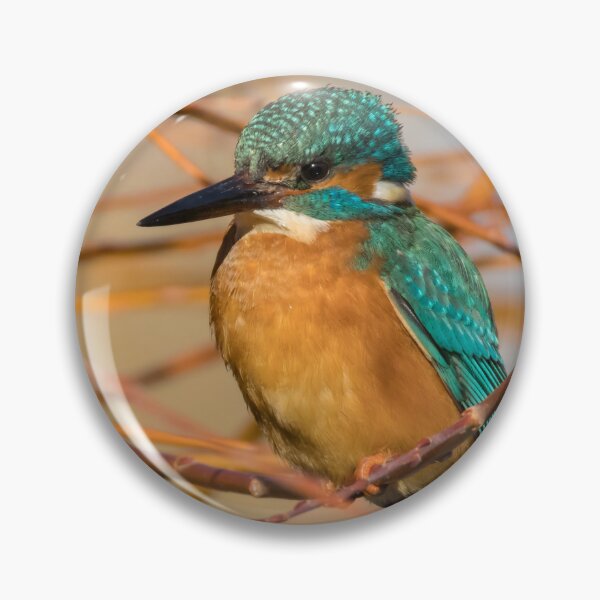 Item preview, Common Kingfisher designed and sold by LaurenTucker.