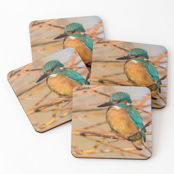 Item preview, Common Kingfisher designed and sold by LaurenTucker.